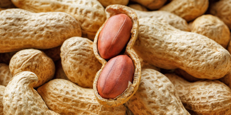 Read more about the article Heath benefits of eating groundnuts