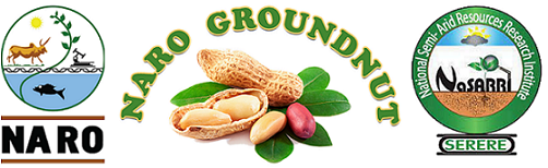 The National Groundnut Improvement Project