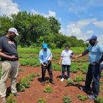 Learning Visit by the Groundnut Improvement Team from Madagascar to the National Groundnut Improvement Programme, NARO Uganda