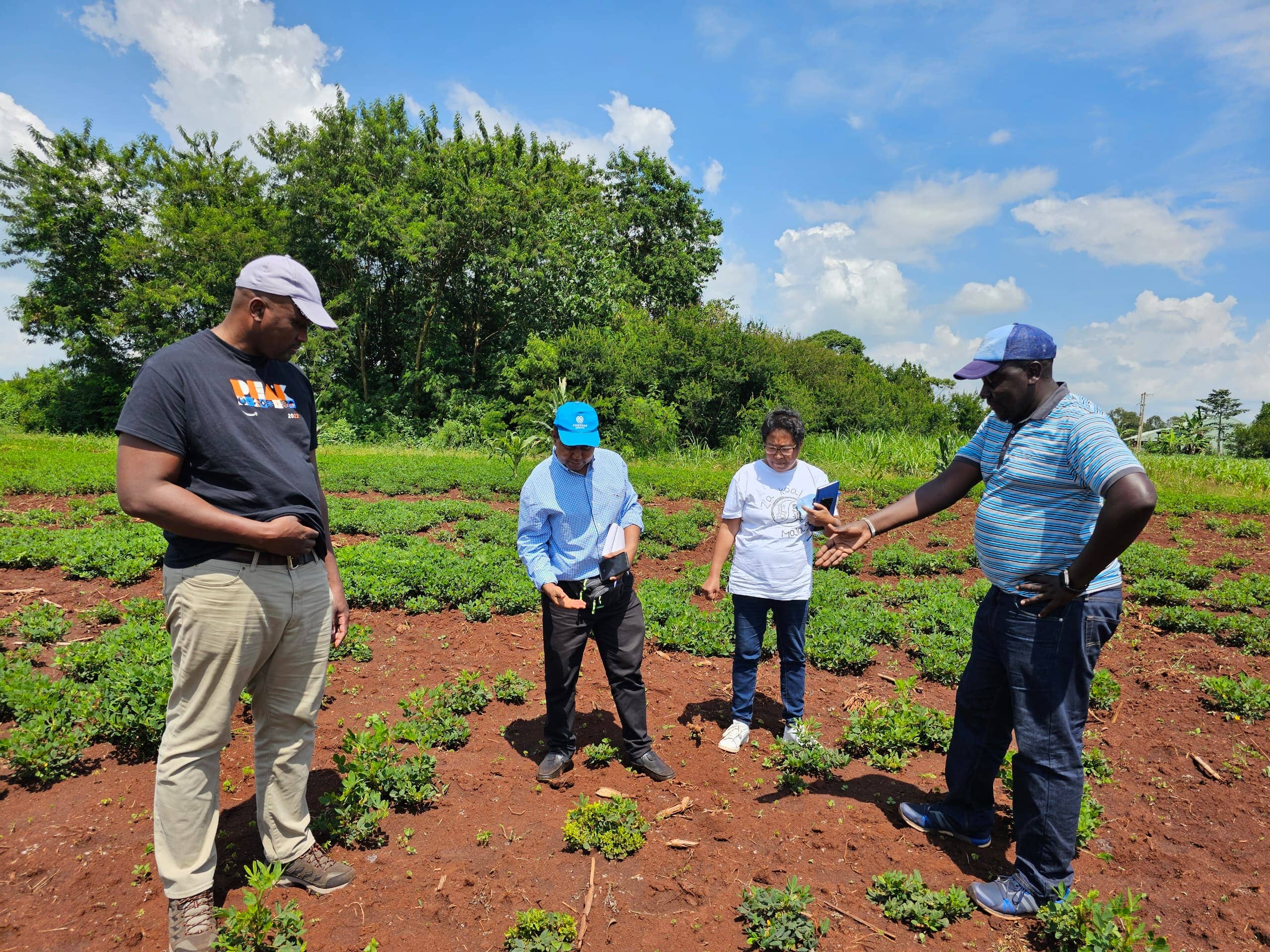 Read more about the article Learning Visit by the Groundnut Improvement Team from Madagascar to the National Groundnut Improvement Programme, NARO Uganda