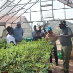 Groundnut Improvement Network for Africa (GINA) receives support from UGA for Breeding Climate Resilient Groundnut Varieties